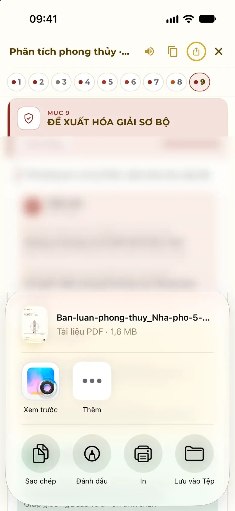 The Share button creates the feng shui analysis PDF and opens the share sheet: Preview, Copy, Print, Save to Files.